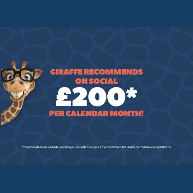 M6 Giraffe digital ad design